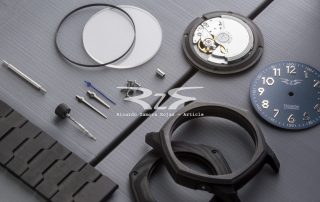 Carbon fiber RzR watch article